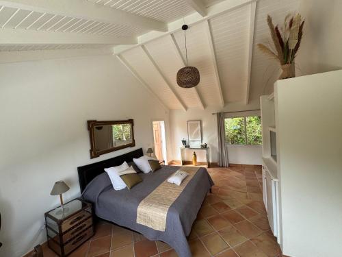 a bedroom with a bed in a room at Villa Joëlle in Anse Marcel 