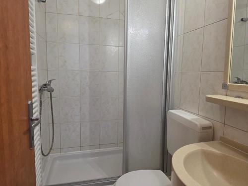 a bathroom with a shower and a toilet and a sink at Apartment Keti - Mandre in Mandre