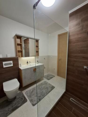 a bathroom with a shower and a toilet and a sink at Apartman THE VIEW in Vranješ