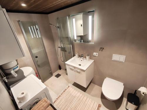 a bathroom with a toilet sink and a shower at Eikerapen Panorama in Åseral