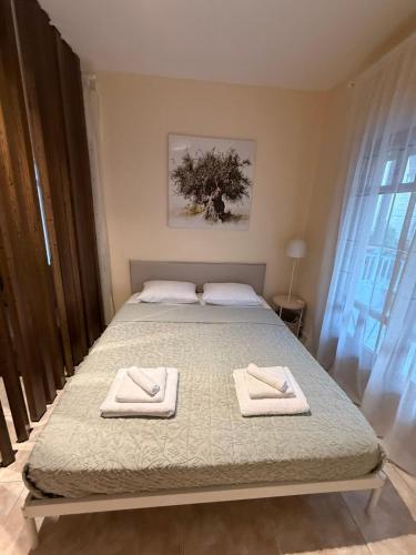 Olea Suite