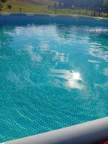 a dolphin is swimming in a swimming pool at Vila Jezerce Zlatibor Zbojštica in Užice
