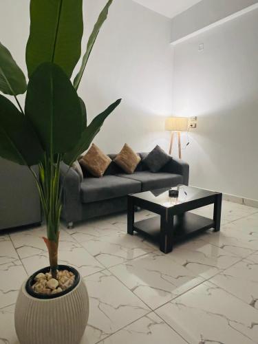 a living room with a couch and a potted plant at Neat & Modern Studio 2Mins Pyramids - Royal desert Inn in Cairo