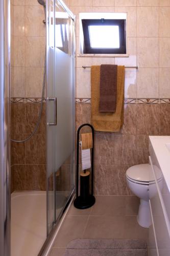 a bathroom with a shower and a toilet and a sink at Casa Espadinha in Salema