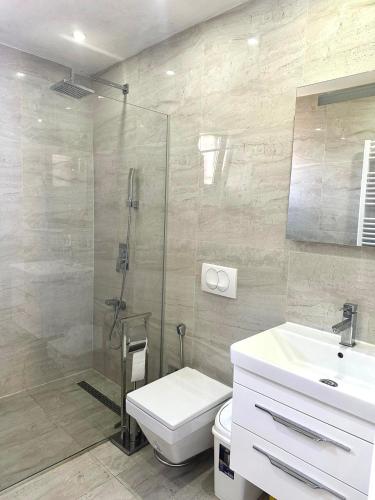 a bathroom with a shower and a toilet and a sink at Hajr Villa in Ilidža