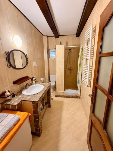 a bathroom with a sink and a shower at Forest Chalet Sucevita in Suceviţa