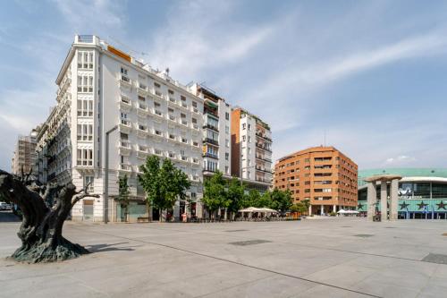Amazing Penthouse wlarge terrace - 1BedRoom -Goya