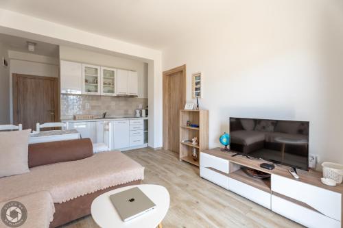 a living room with a couch and a television at Bonaca Apartments in Kotor