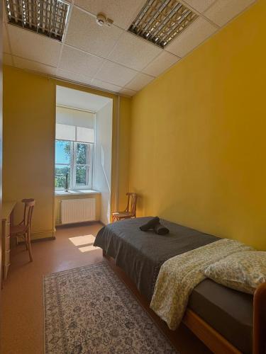 a bedroom with a bed and a yellow wall at Spāres muiža in Spāres Muiža