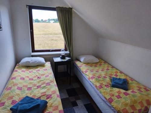 two twin beds in a room with a window at Lugnt gästhus nära hav, natur och vandring in Glumslöv