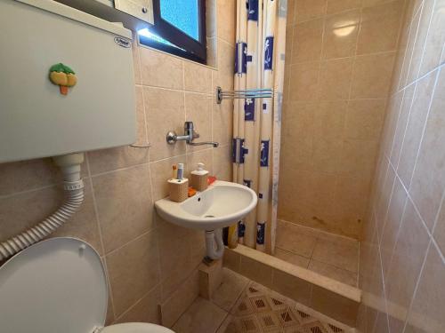 a bathroom with a toilet and a sink at Apartmani JELIČIĆ in Zaovine