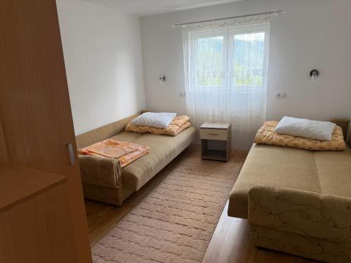 a room with two beds and a couch and a window at Apartmani JELIČIĆ in Zaovine