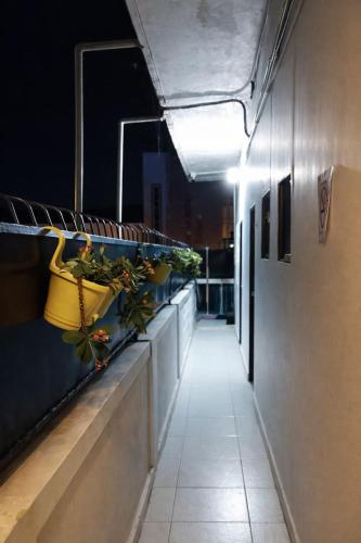 a hallway with potted plants on the wall at Hotel Riviera Central in Montería