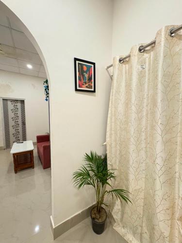 a living room with a curtain and a plant at Heritage Home in Guwahati