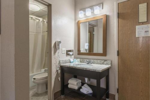 a bathroom with a sink and a toilet and a mirror at GreenRidge Hotel in Wickliffe