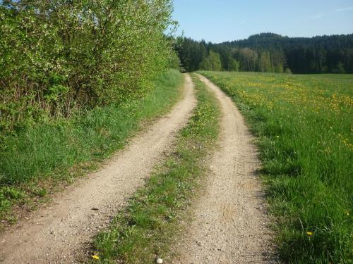 a dirt road in the middle of a field at Wastlhof in Schorndorf