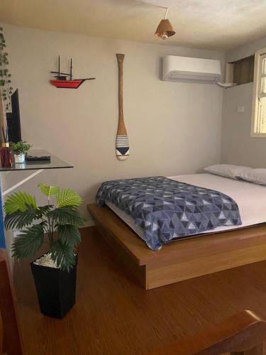 a bedroom with a bed and a potted plant at Pouso do Caiçara suíte in Paraty