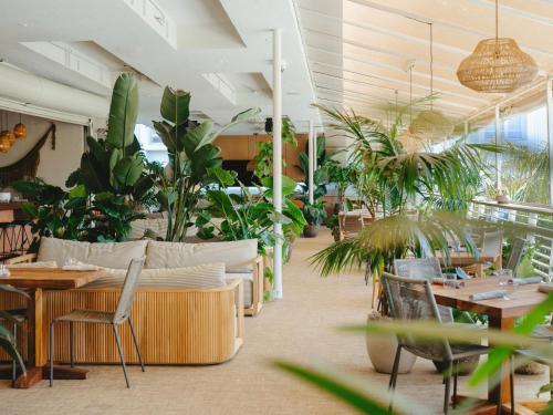 Hotel June West LA, a Member of Design Hotels photo 109