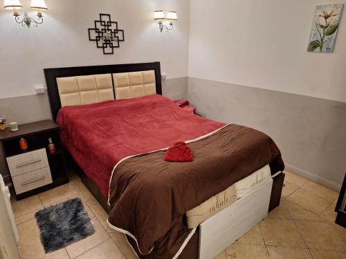 ein Schlafzimmer mit einem großen Bett und einer roten Decke in der Unterkunft LÜr4 in Río Cuarto
