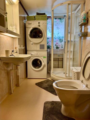 a bathroom with a washing machine and a sink at Fjord Haven in Gryllefjord