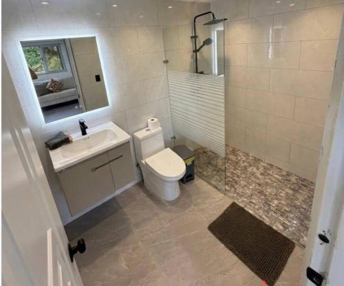 a bathroom with a toilet and a sink and a mirror at Rico Puerto magic spot east in Cabrera