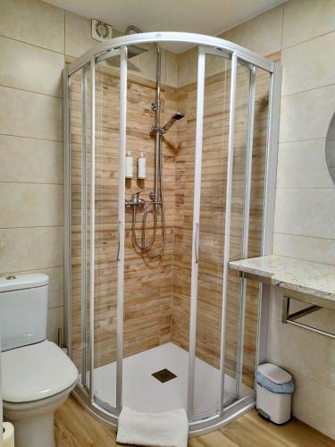a shower in a bathroom with a toilet at Alojamientos as moras arans in La Cañiza