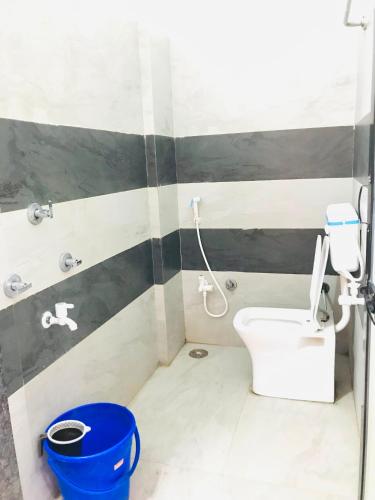 a bathroom with a toilet and a shower at Balaji Lodge in Laling