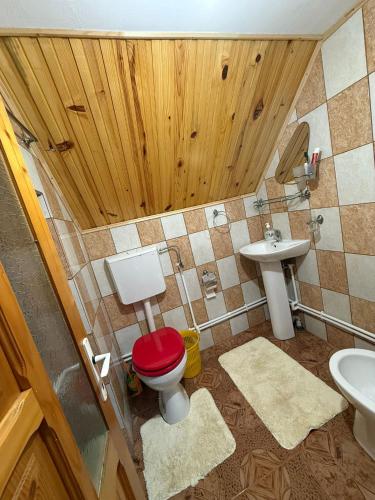 a bathroom with a toilet and a sink at Casa hoinarului in Borca