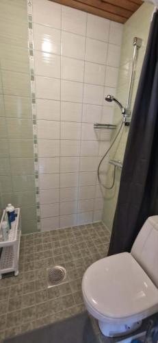 a bathroom with a toilet and a shower with a shower curtain at Elva südalinna kodumajutus in Elva
