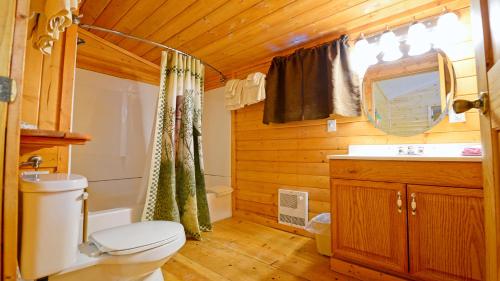 a bathroom with a toilet and a sink at Arrowhead 05 in Red River