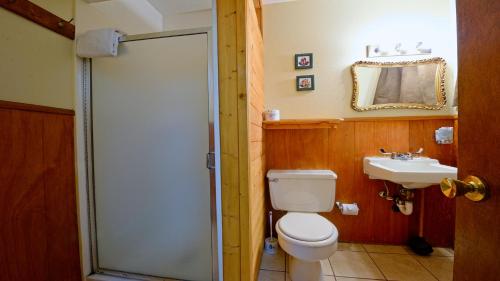 a bathroom with a toilet and a sink at Arrowhead 17 in Red River