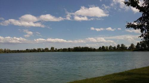 a large body of water with trees in the background at Agriturismo Boschi in Reggiolo
