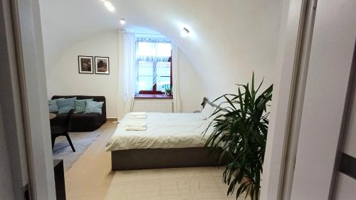 a bedroom with a bed and a plant in it at #RYNEK stare miasto MKVADRAT in Lublin