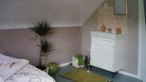 a bedroom with a bed and a sink and a plant at Villa Jani b&b in Breitscheid