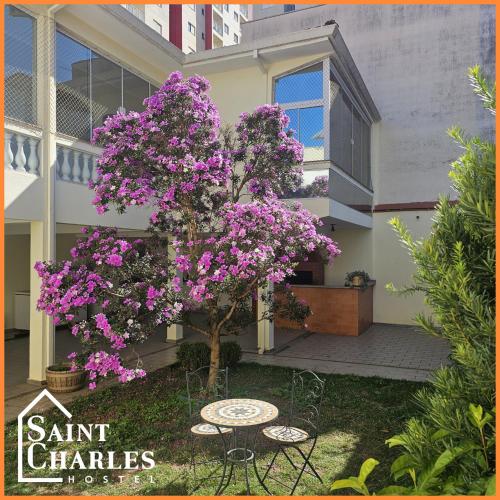 a tree with purple flowers in front of a building at Saint Charles Hostel in São Carlos