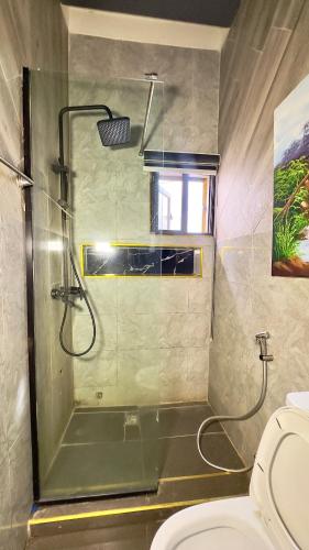 a bathroom with a shower and a toilet at Leria Living luxury 2 bedroom wuye, Abuja in Ankuru