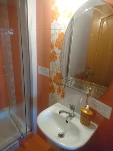 a bathroom with a sink and a mirror and a shower at Vila VERA in Mahmudia