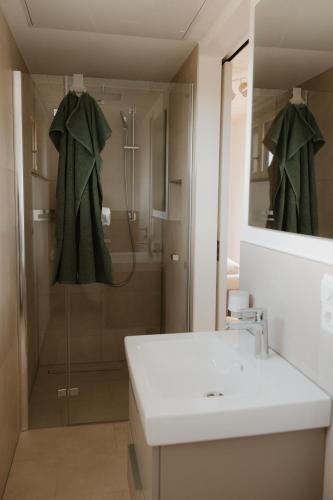 a bathroom with a sink and a shower at Natururlaub by Klotz TINY HAUS c in Überlingen