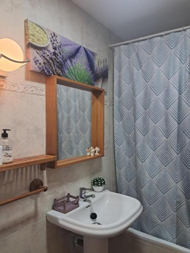 a bathroom with a sink and a shower at Oasis Segovia in San Cristóbal de Segovia