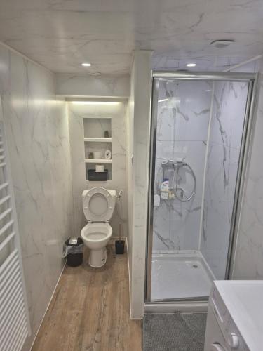 a small bathroom with a toilet and a shower at chic apartment and zen in Chauray