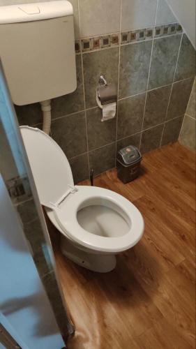 a bathroom with a white toilet in a room at Vila Olga in Sombor