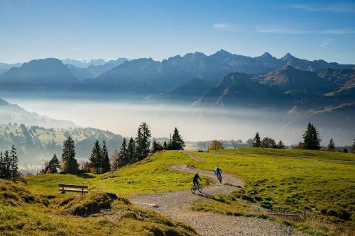 two horses on a hill with mountains in the background at Mountainview Apartment - Central - Family - Hiking - Lake and Mountains in Schwyz