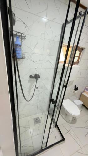 a bathroom with a shower and a toilet at Vrela Holiday Home in Cetinje