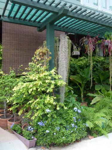 a garden with a water fountain and plants at Ban Boonchu in Phra Nakhon Si Ayutthaya