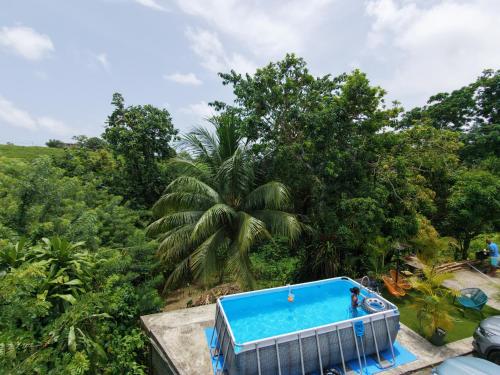 an overhead view of a swimming pool in a forest at Kaz alizé in Sainte-Marie
