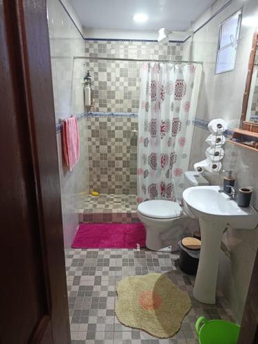 a bathroom with a sink and a toilet and a shower at The Mango House in Caaguazú