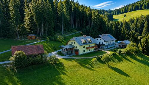 an aerial view of a house in the mountains at Camping & Glamping Čenda in Železniki