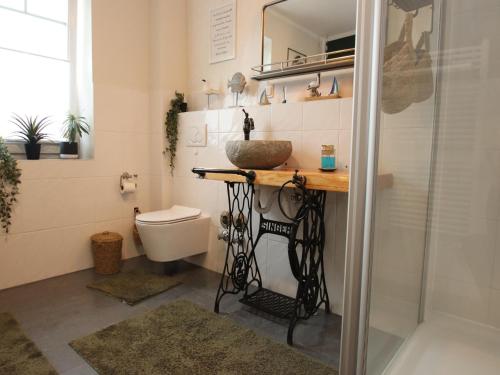 a bathroom with a sink and a toilet and a shower at Appartement im Seedomizil Kummerow in Kummerow
