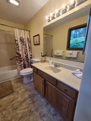 a bathroom with a sink and a toilet and a mirror at Hale Mauna Loa Upper Level with shared Hot Tub in Volcano