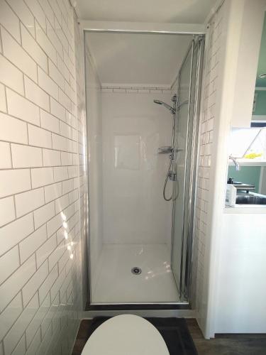 a white bathroom with a shower and a toilet at Cozy Tiny House in Garden Setting, 3 Minute Drive to Back Beach in New Plymouth